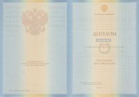 Диплом специалиста с 2009 по 2010 год