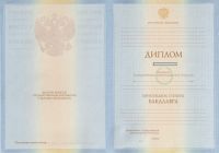 Диплом ВУЗа 2009 года