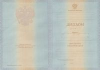 Диплом института с 2012 по 2013